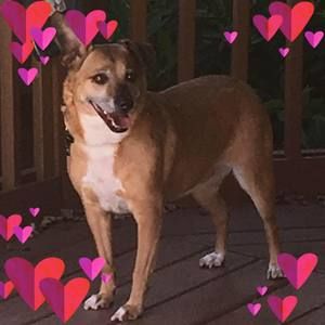 Meet your Posher, Wendi